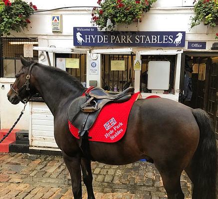 Hyde Park Stables