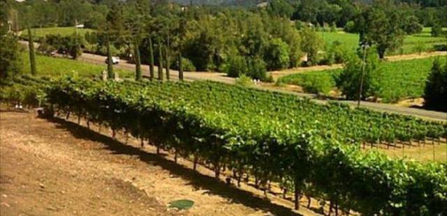 Beringer Vineyards