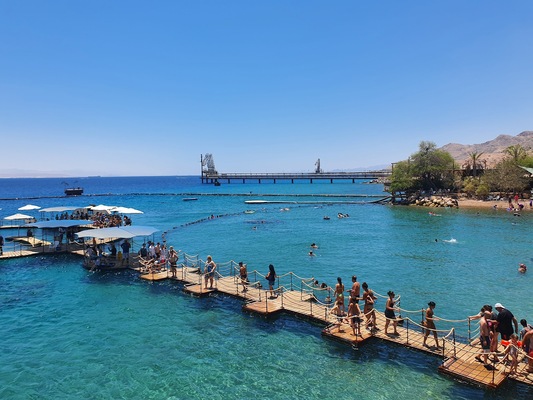 Dolphin Reef