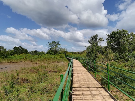 Cano Negro Wildlife Refuge