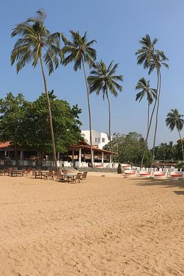 Calamander Unawatuna Beach