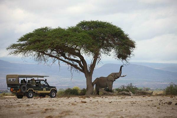 Elewana Tortilis Camp Amboseli