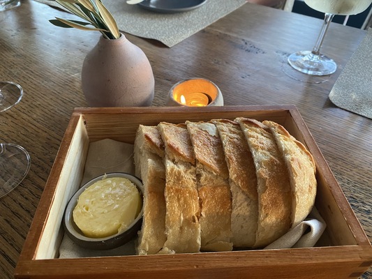 Olivella