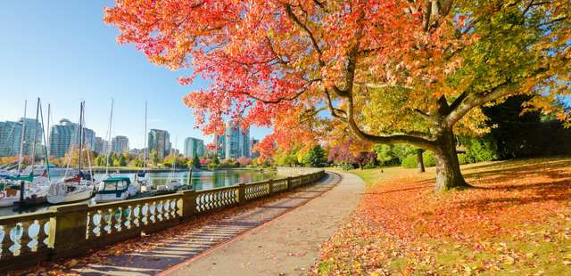 Stanley Park