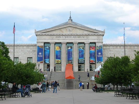 Shedd Aquarium