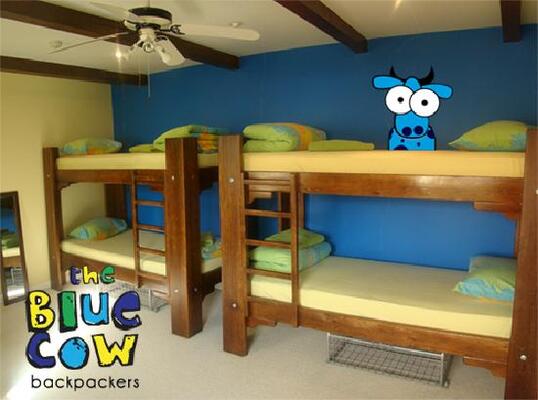 Blue Cow Hostel
