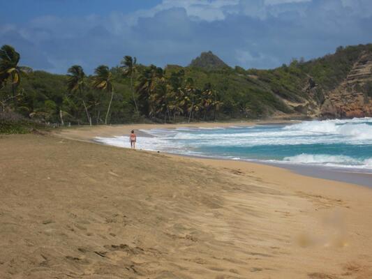 Petite Anse Hotel