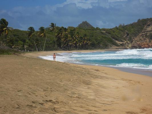 Petite Anse Hotel