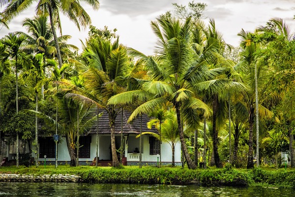 Palmgrove Lake Resort