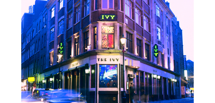 The Ivy