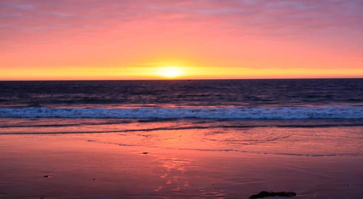Los Corales