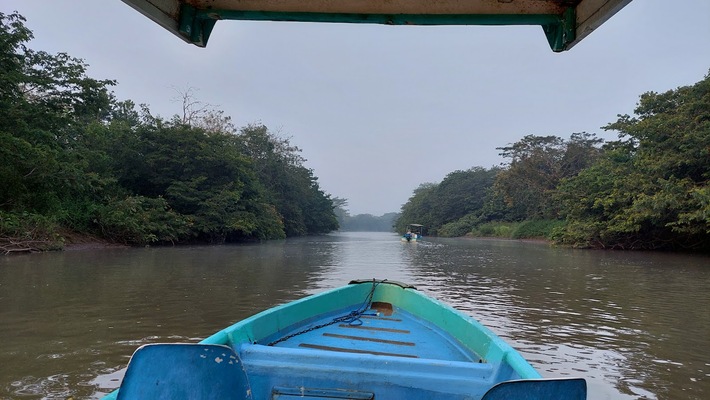 Cano Negro Wildlife Refuge