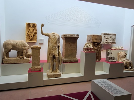 Rheinisches Landesmuseum