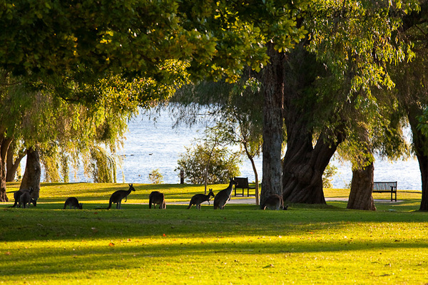 Yanchep National Park