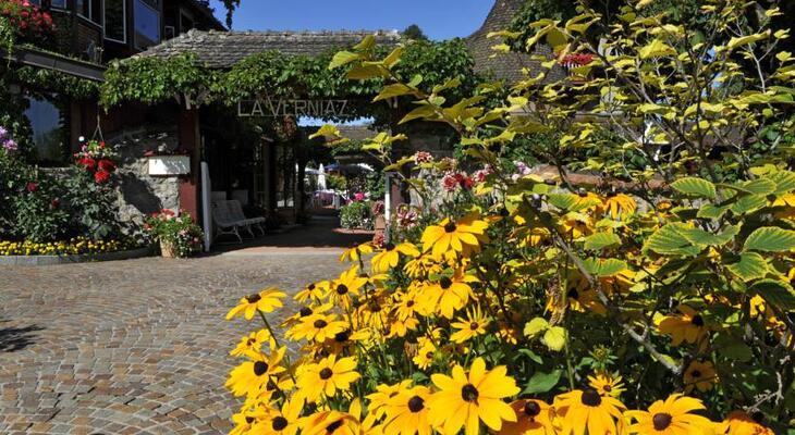 Hotel de la Verniaz et ses Chalets