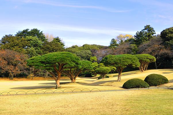 Shinjuku Gyoen National Garden