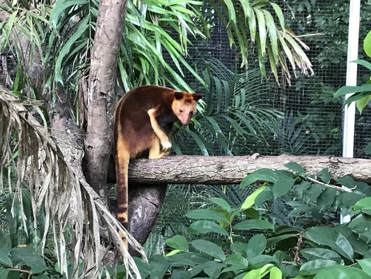 Port Moresby Nature Park