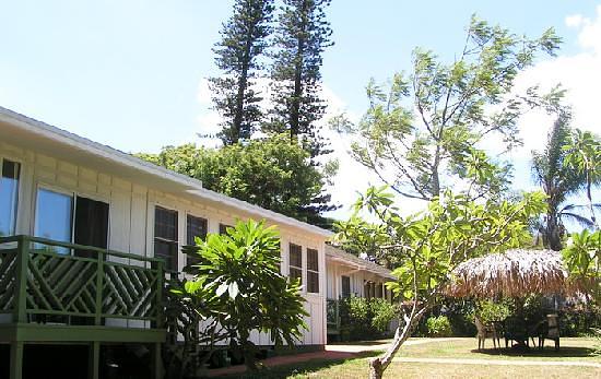 Banyan Bed and Breakfast Retreat