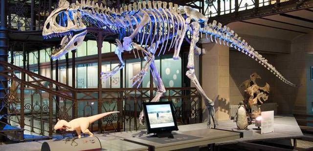 Museum of Natural Sciences