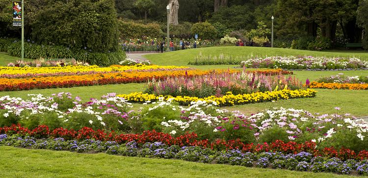 Conservatory of Flowers