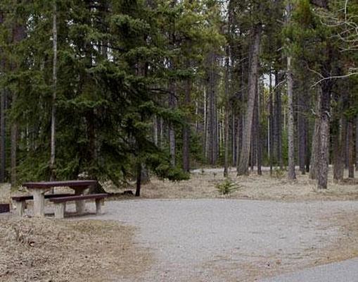 Tunnel Mountain Village 1 Campground