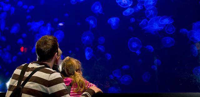 Aquarium du Quebec