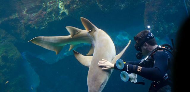 Aquarium de Lyon