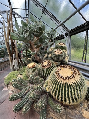Wilhelma Zoologisch-Botanischer Garten