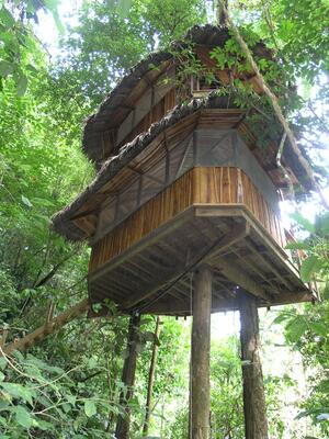 Finca Bellavista Treehouse Community