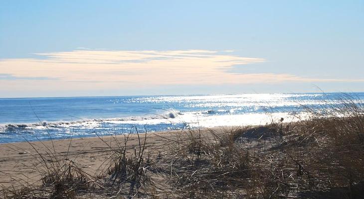 Sea Crest on the Ocean