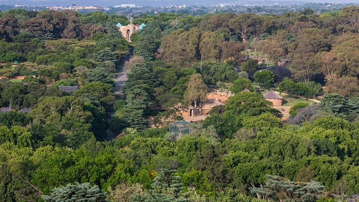 Four Seasons Hotel The Westcliff Johannesburg