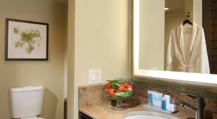 Holiday Inn San Jose - Silicon Valley, an IHG Hotel