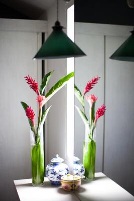 Red Ginger Chic Resort