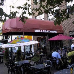 Bullfeathers