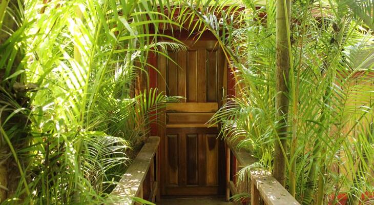 Georphi's Tropical Hideaway