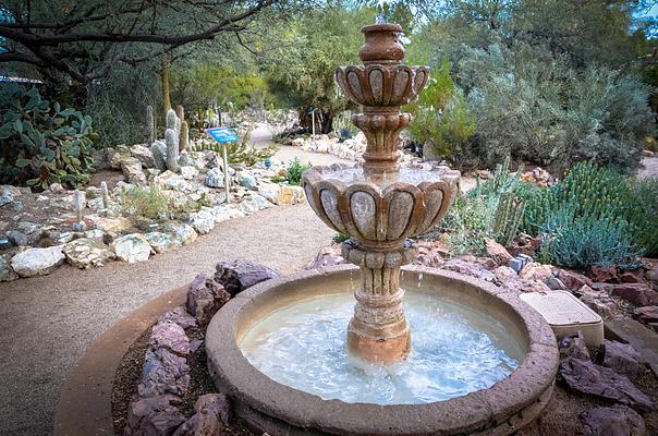 Tucson Botanical Gardens