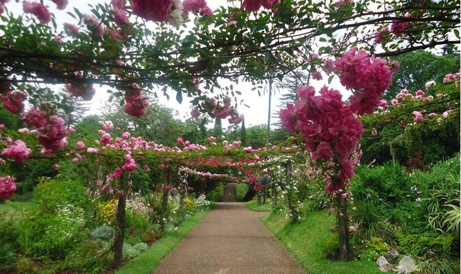 Palheiro Gardens