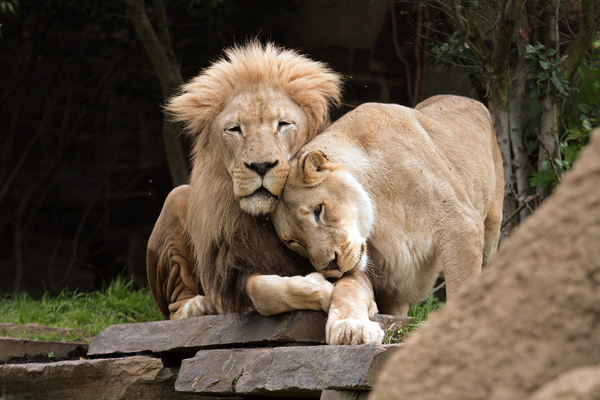 Philadelphia Zoo