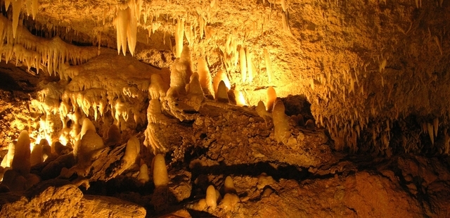 Harrison's Cave Eco-Adventure Park
