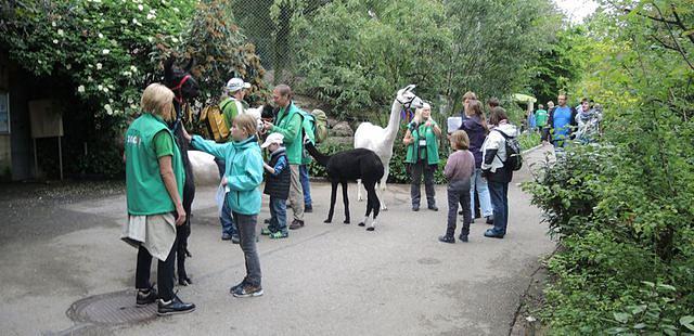 Zoo Zurich