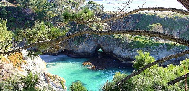 Point Lobos