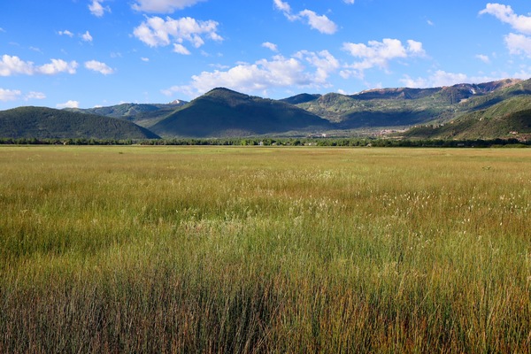 Swaner Preserve and EcoCenter