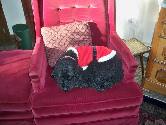 The Gables Bed and Breakfast