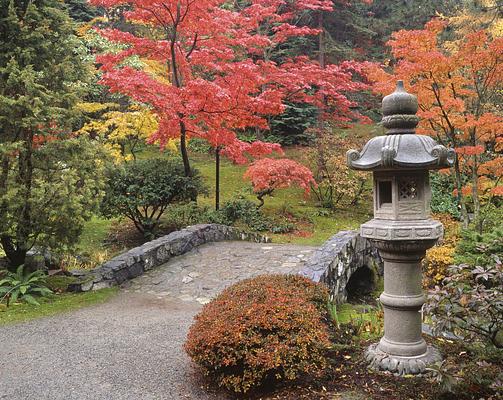 Washington Park Arboretum