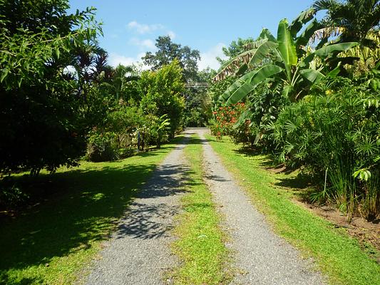 Hotel Roca Negra del Arenal