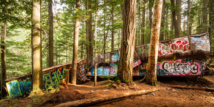 The Whistler Train Wreck Trail