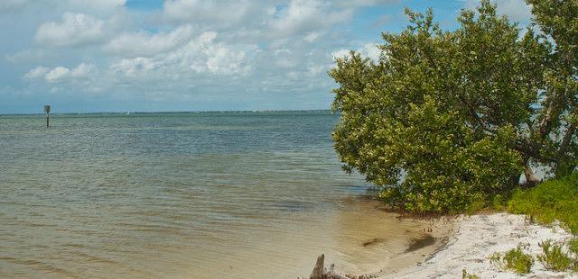 Honeymoon Island State Park