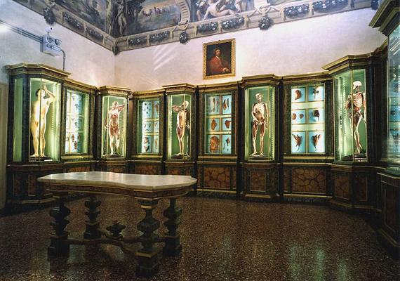 Museo di Palazzo Poggi