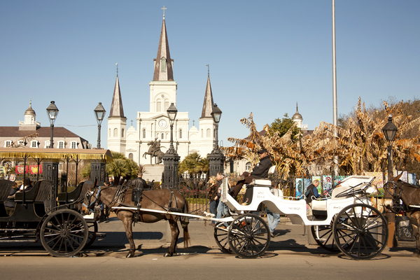 St. Louis Cathedral