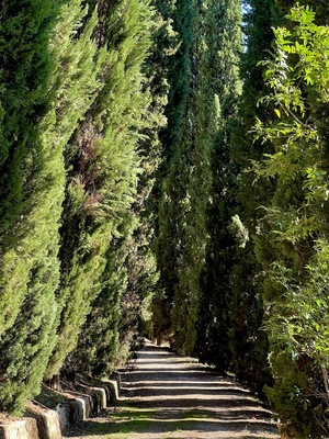 Orto Botanico di Siena